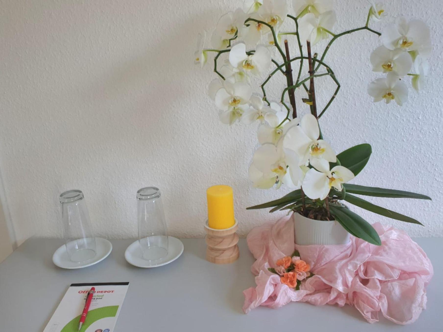 Wohnung Mit 3 Zimmer 魏布林根 外观 照片